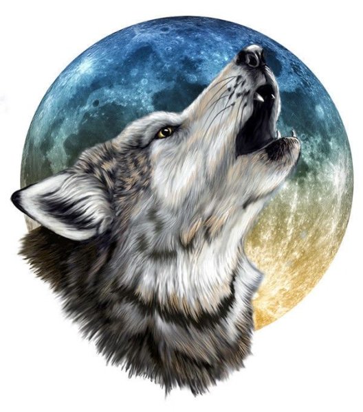 Волк в круге