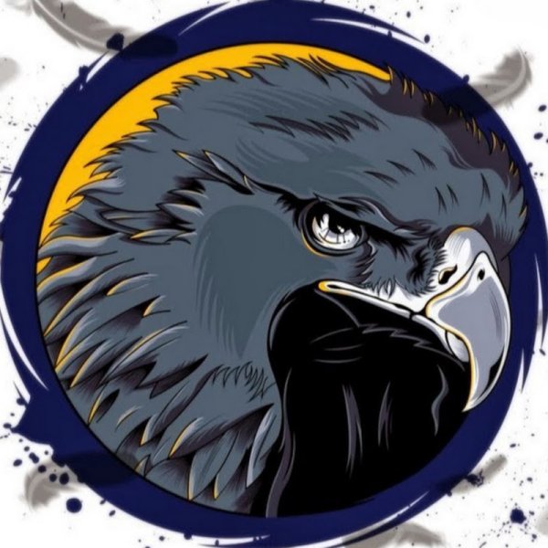 Круглые аватарки