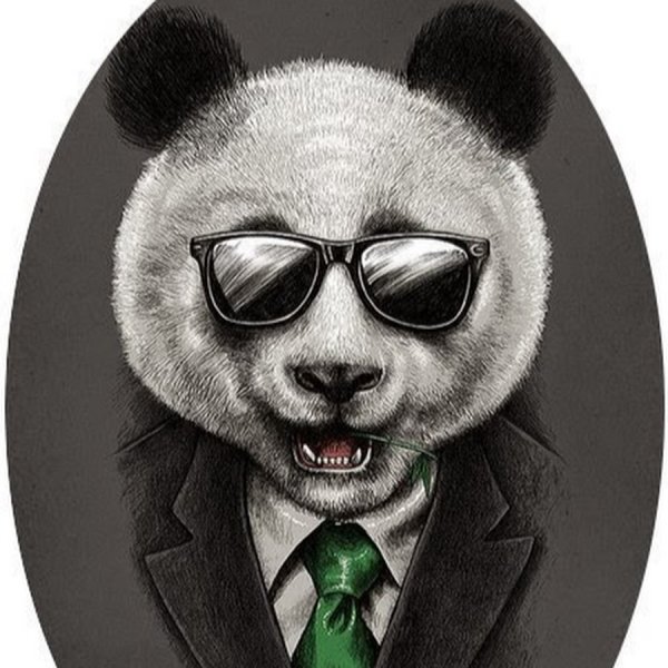 Крутая Панда в очках