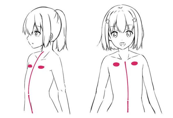 Как рисовать маленькую грудь