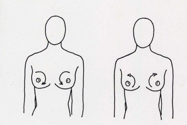 Женская грудь рисунок