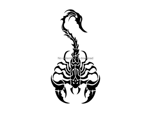 Скорпион наклейка на авто