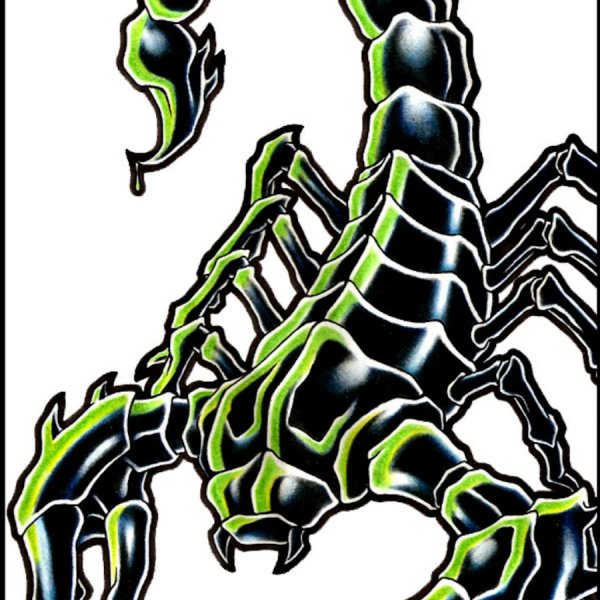 Скорпион тату эскиз