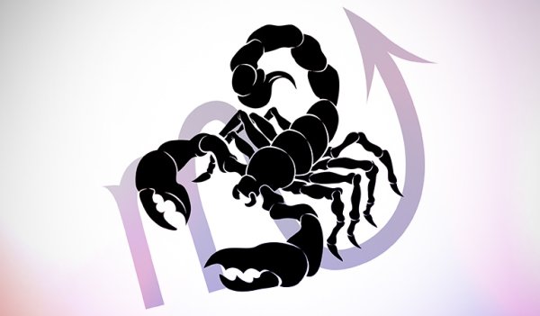 Татуировка Скорпион эскизы