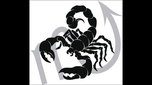 Скорпион для выжигания