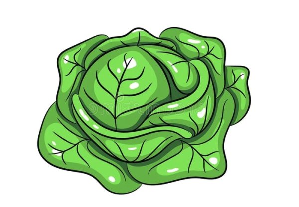 Векторная капуста