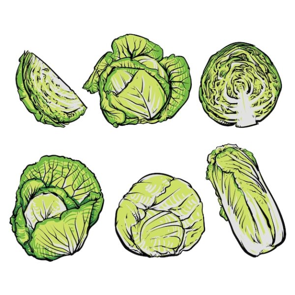 Капуста скетч