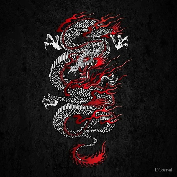 Китайский дракон на черном фоне