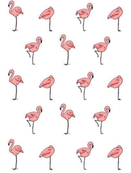 Фламинго для личного дневника