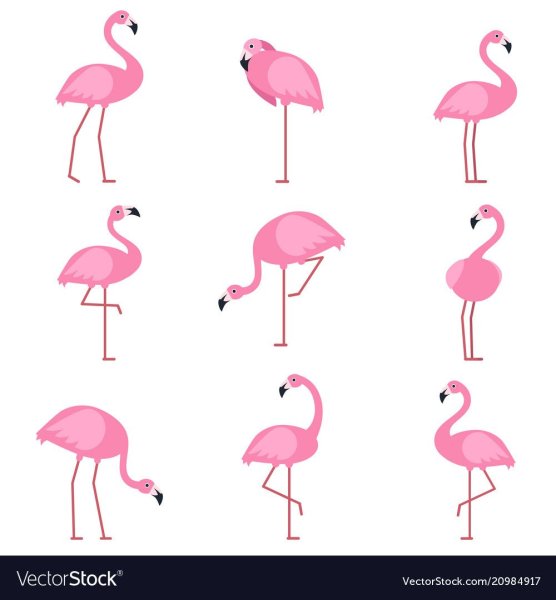 Маленькие рисуночки Фламинго