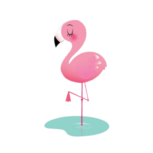 Фламинго иллюстрация