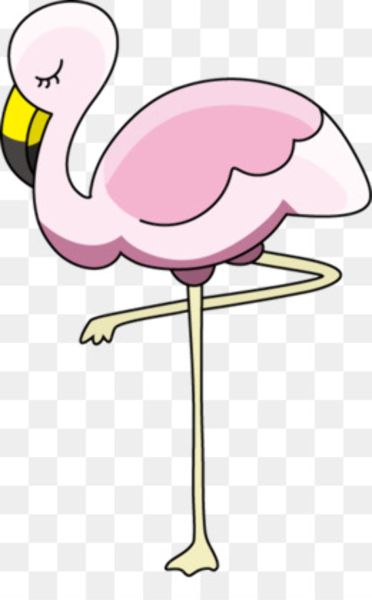 Фламинго милота