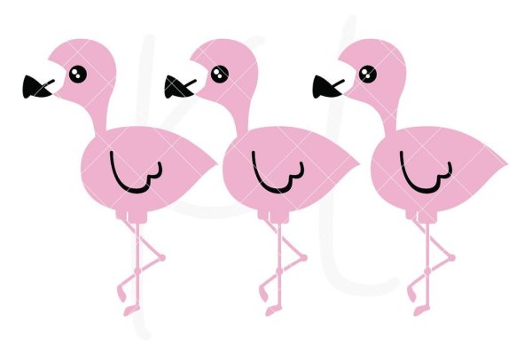 Милый рисуночек Фламинго