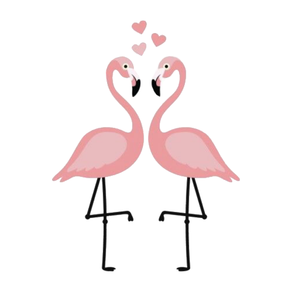 Фламинго рисунок