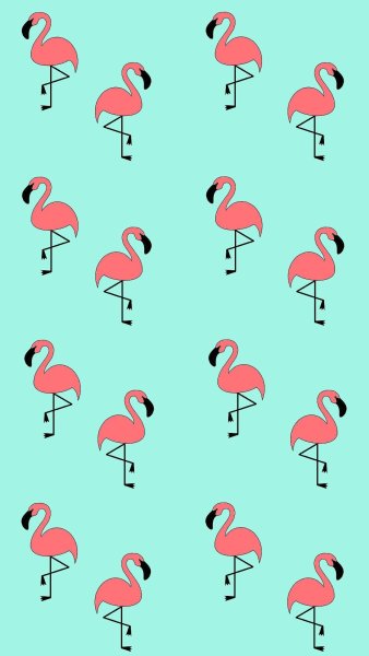 Фламинго контурный рисунок