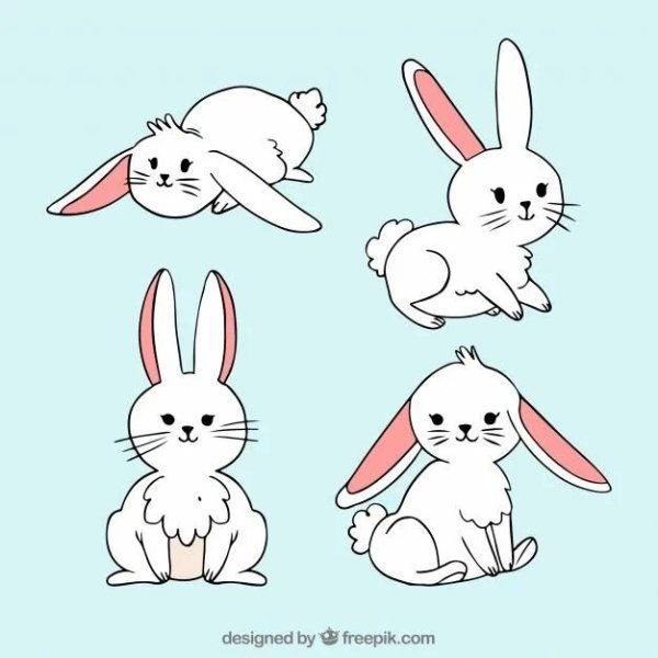 Раскраска зайчик