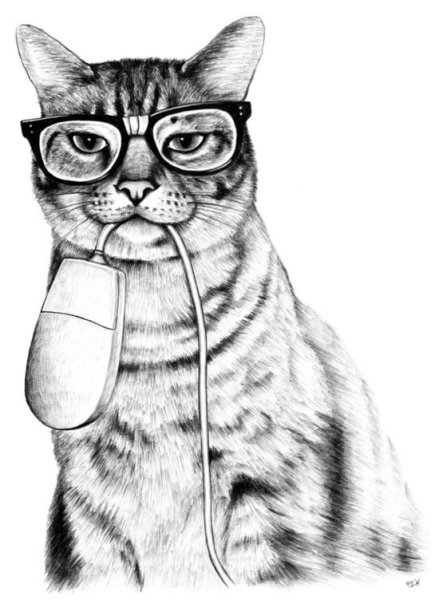 Коты Воители Фиалковая звезда