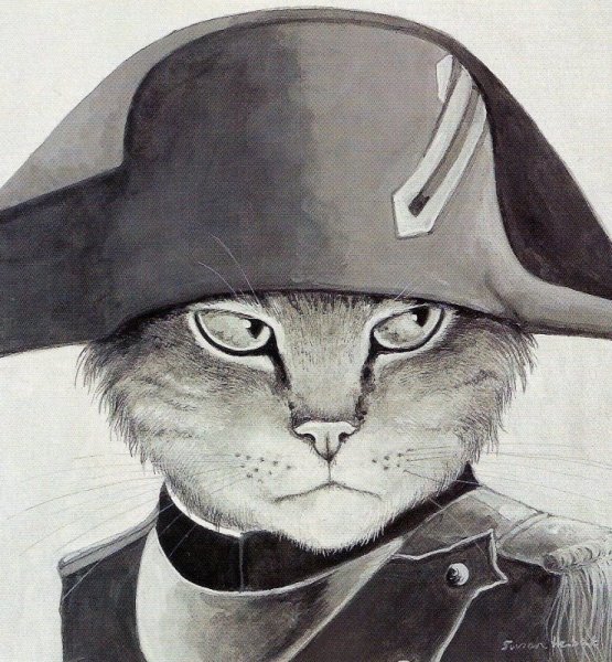 Красивые коты