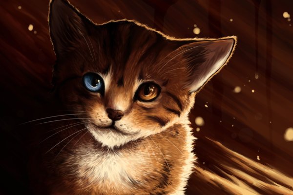 Рихардс Донскис Чеширский кот