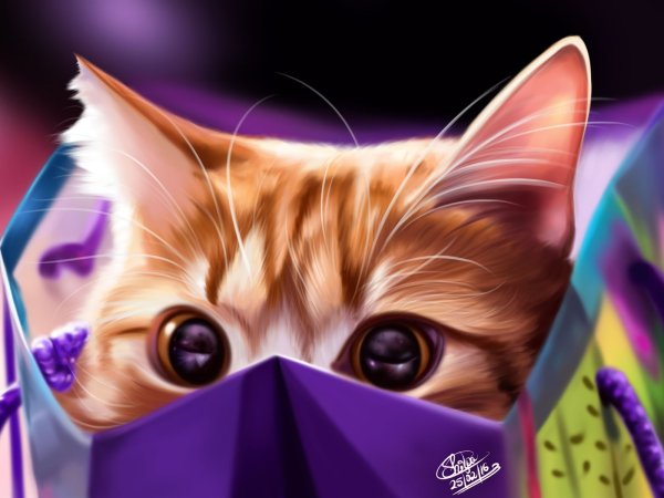 Розовый кот арт