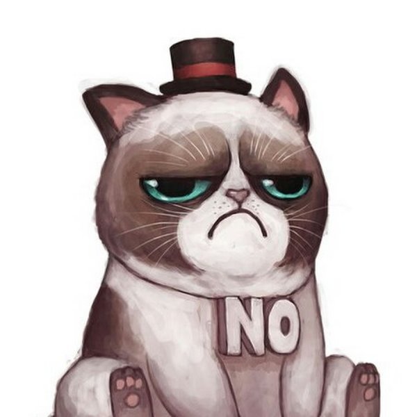 Котята няшки