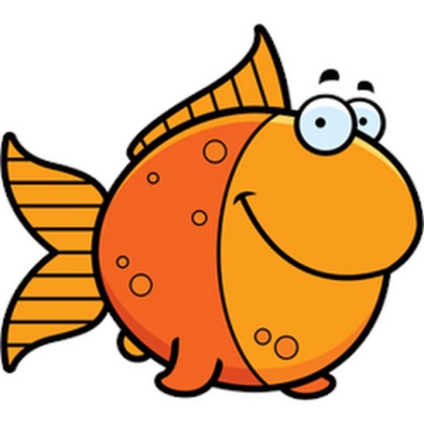 Хитрая рыбка