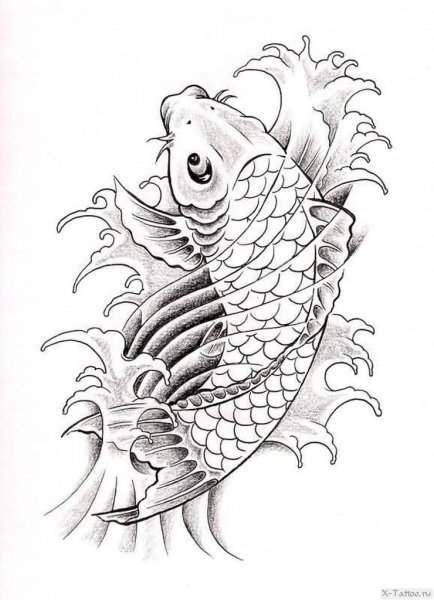Карп кои тату эскиз