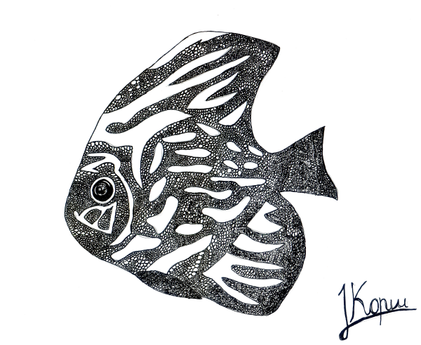 Красивые рыбы