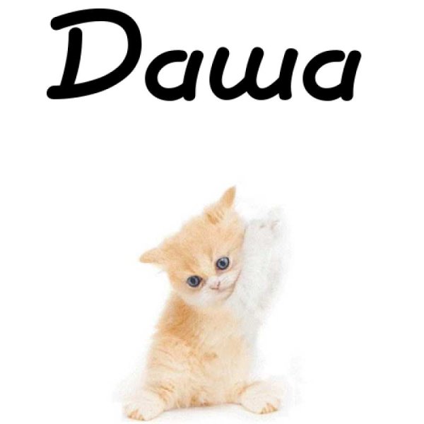 Леди баг и супер-кот КВАМИ