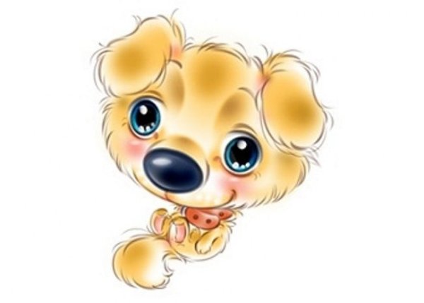 Иллюстратор Мельникович Людмила