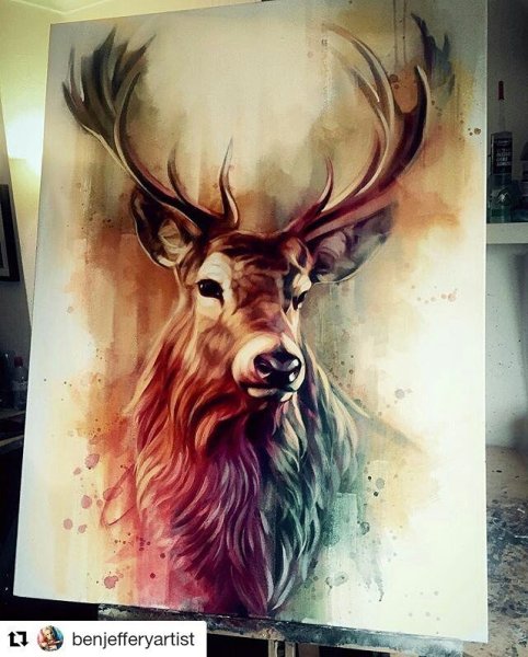 Олень тату реализм