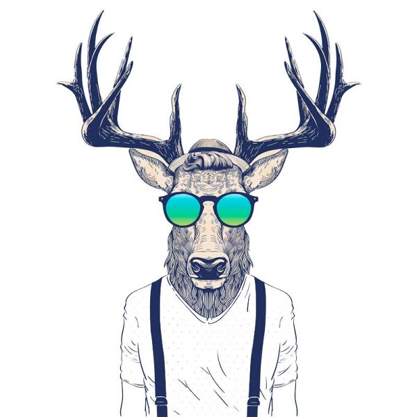 Олень в очках