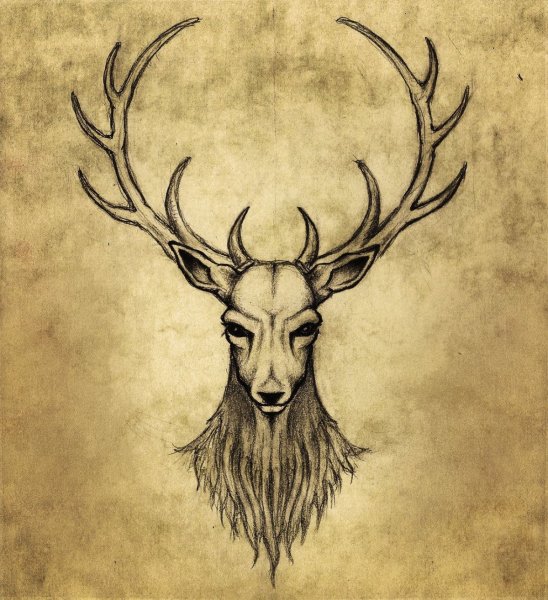 Эйктюрнир Скандинавская