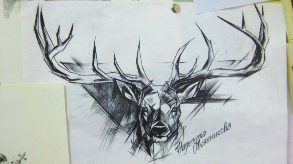 Тату эскиз олень скетч