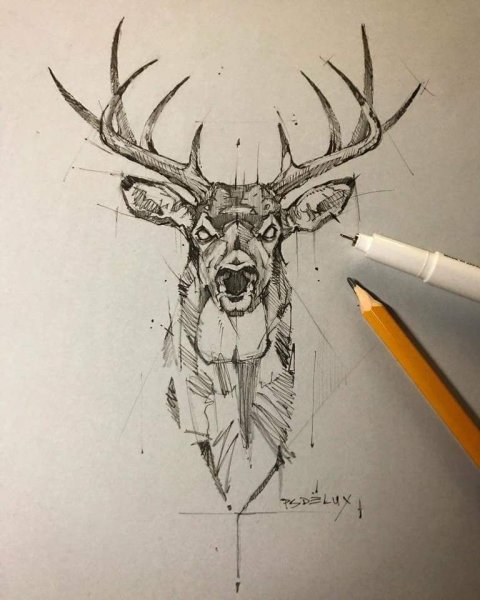 Олень тату эскиз