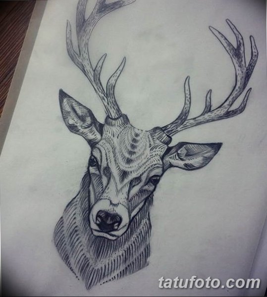 Голова оленя тату