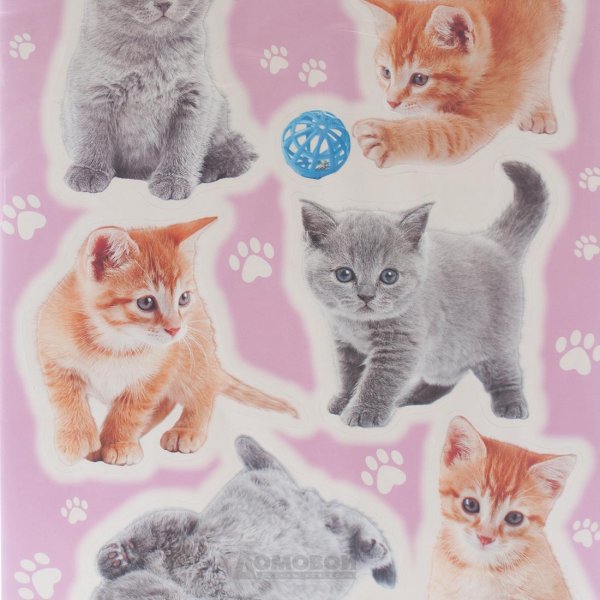 Раскраски котики маленькие