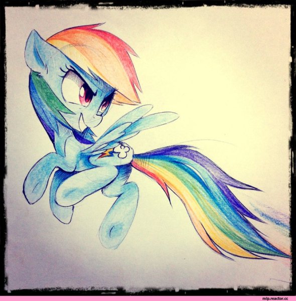 Пони для срисовки Радуга Дэш