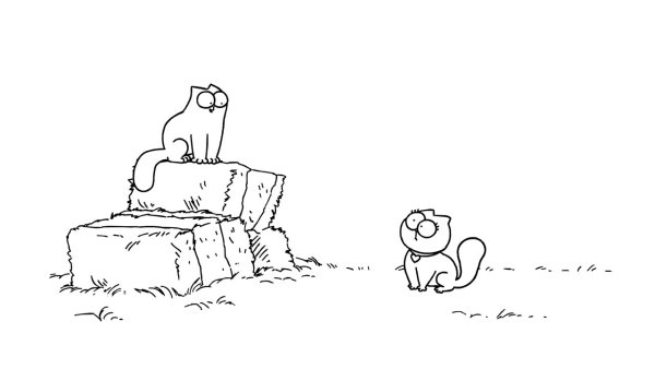 Кот Саймон с кошкой