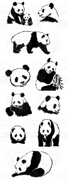 Тату Панда эскизы