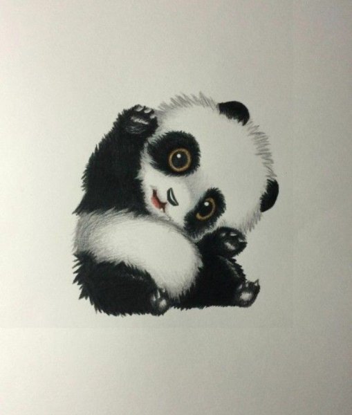 Набросок пандочки