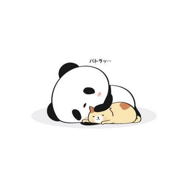 Милая Панда на белом фоне