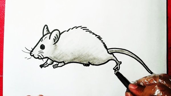 Мышь с сигаретой