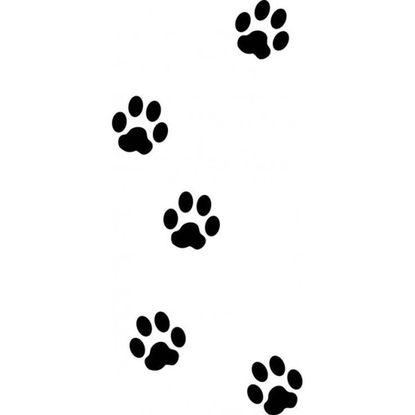 Кошачьи следы