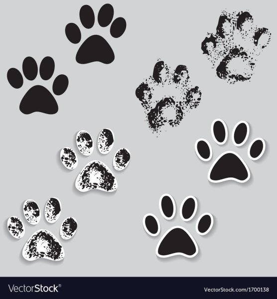 Отпечаток лапы обезьяны