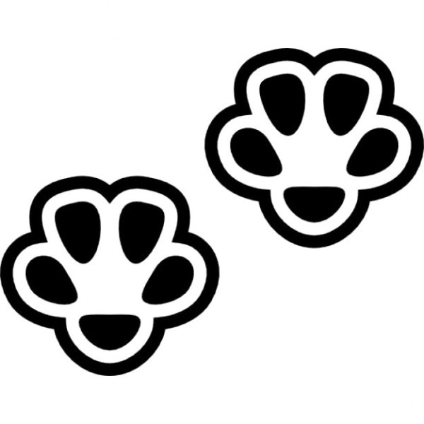 Нарисованная Кошачья лапка