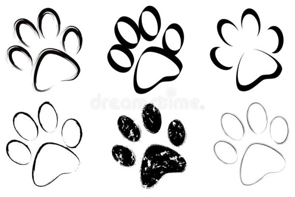 Кошачьи следы контур