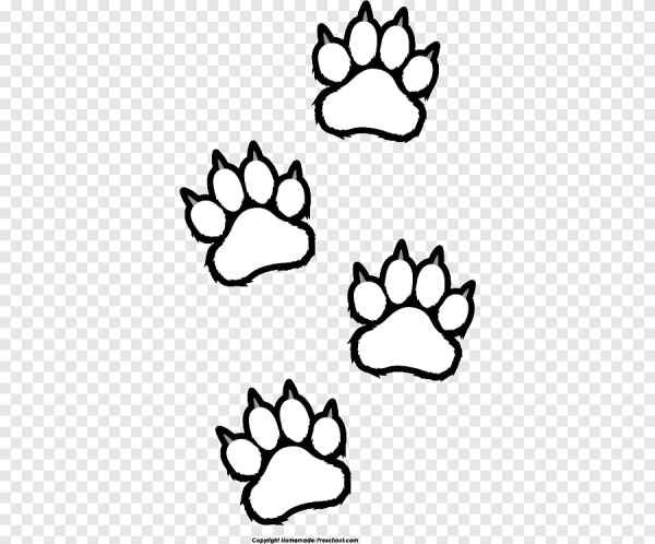 Следы животных контур