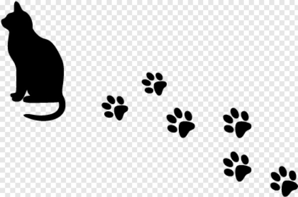 Следы кошки маленькие