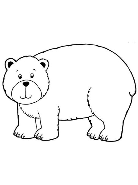 Медведь раскраска
